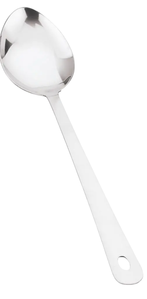 [7469] Sober Spoon  (25cm)