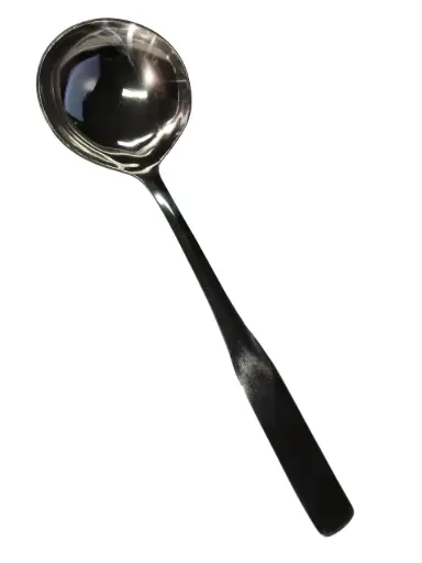[6272] Oval Spoon Solid 10inch